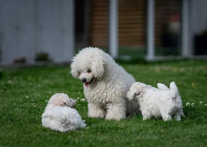 Modern Basement Stavanger, Sola Airport, Kjerag, Preikestolen Leilighet